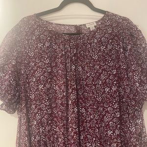 Plus Size: J. Crew Dress